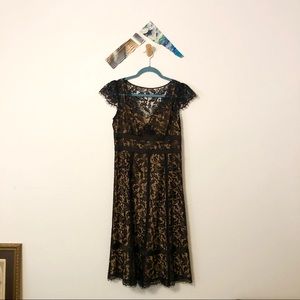 LOFT Lace Cocktail Dress